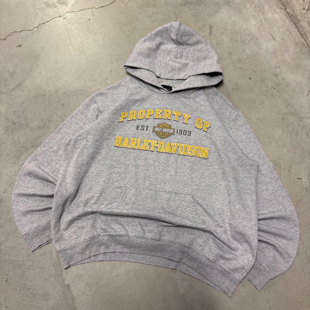 Harley-Davidson Hoodie Mens XL Gray Indy West Plainfield IN Graphic Pullover